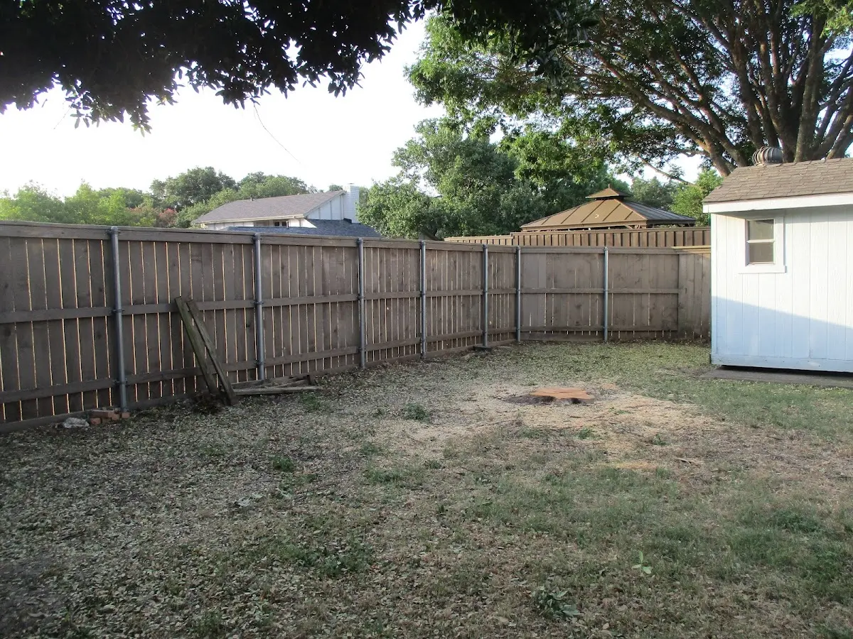 Cleared yard after professional tree removal in Carbondale