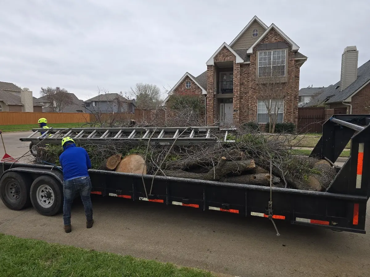 Expert Tree Fertilization with proper safety equipment in Carbondale